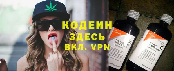 apvp Ельня