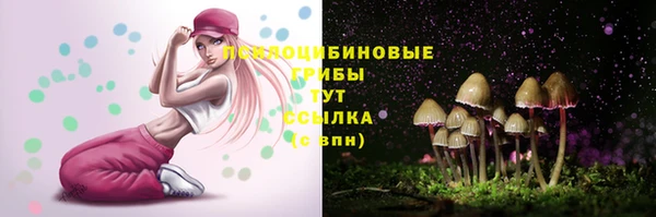 apvp Ельня