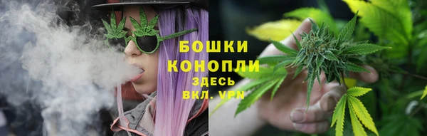 бошки Дмитров