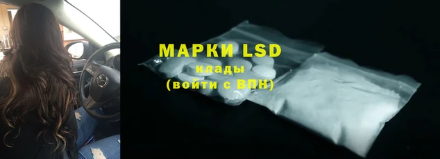 apvp Ельня