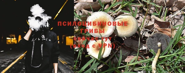 прущая мука Елабуга