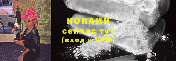 apvp Ельня